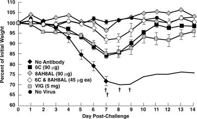 FIG. 7.