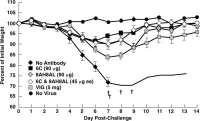 FIG. 6.