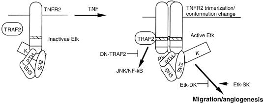 FIG. 7.