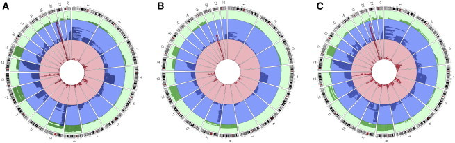 Figure 1