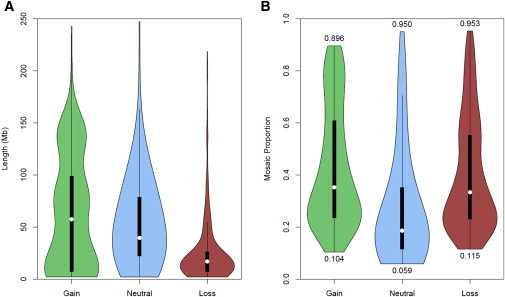 Figure 5