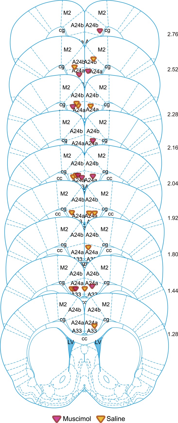 Fig 10