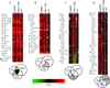 Fig 3.