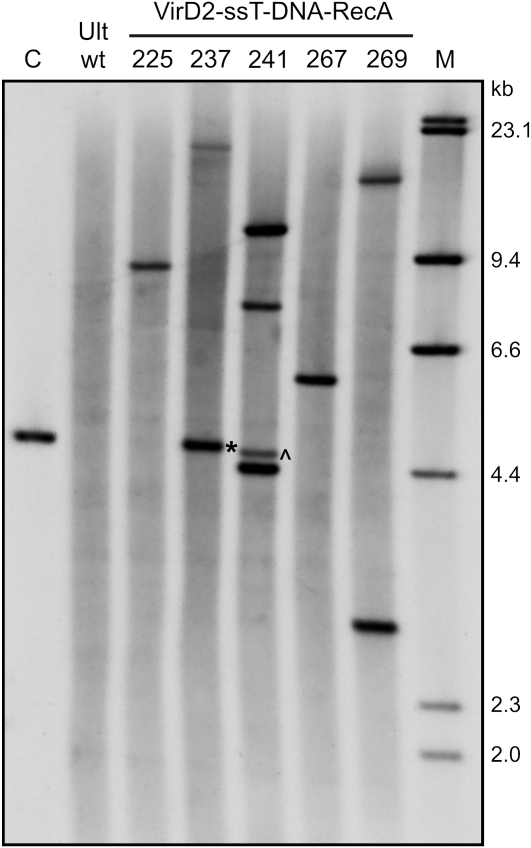 Figure 6.