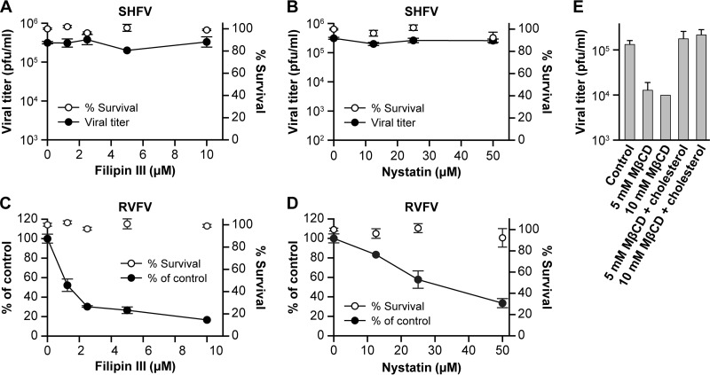 FIG 6