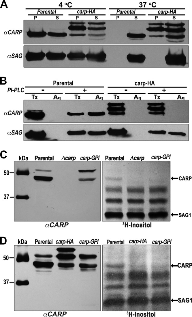 FIG 5 