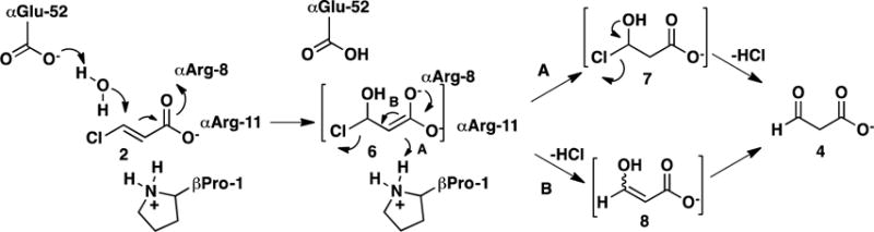 Scheme 2