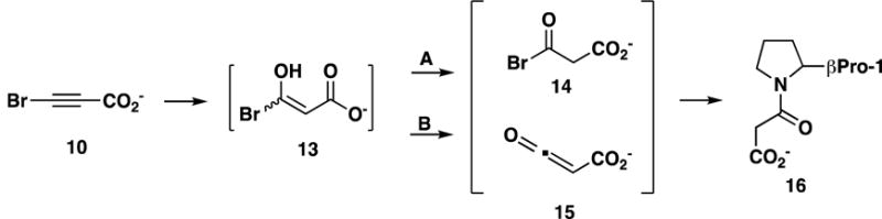 Scheme 10