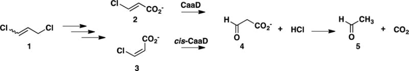 Scheme 1