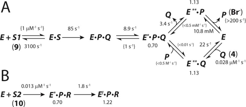 Scheme 8