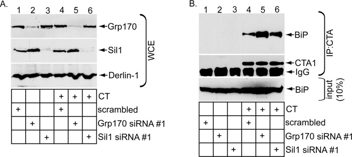 FIGURE 3: