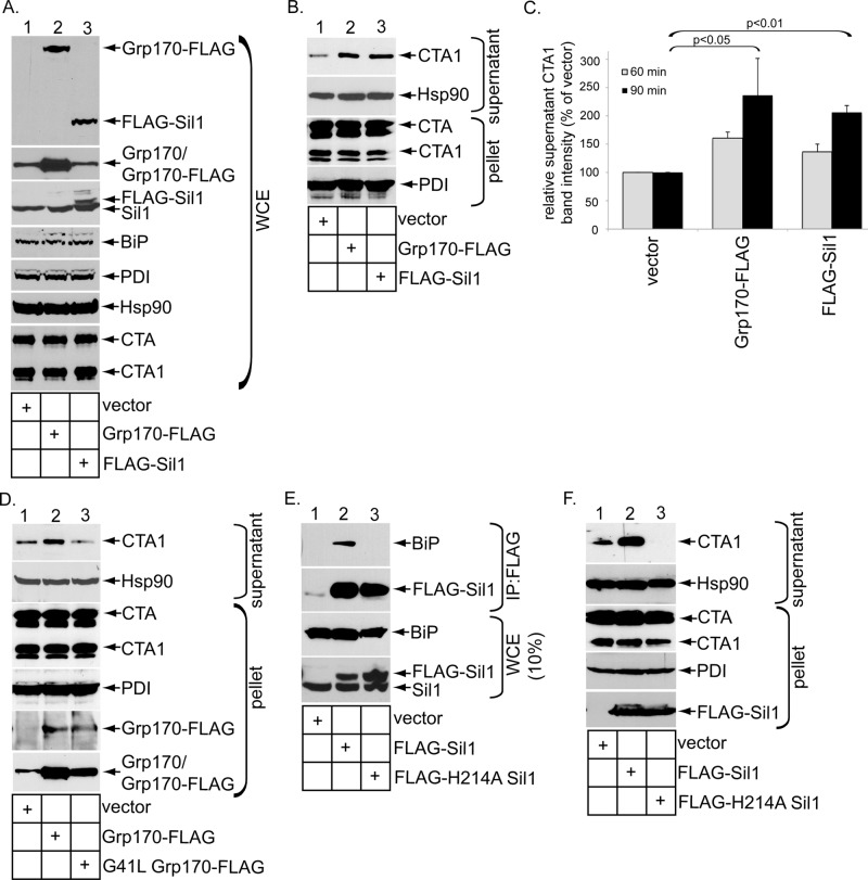 FIGURE 2: