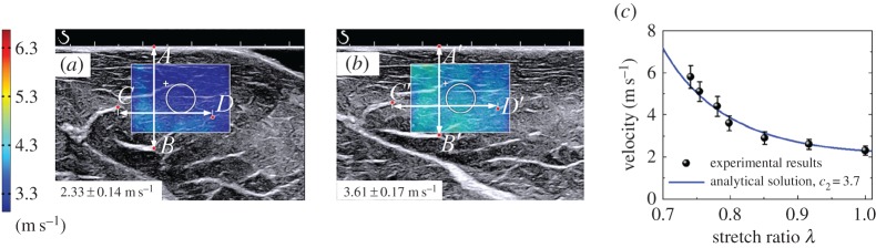 Figure 24.