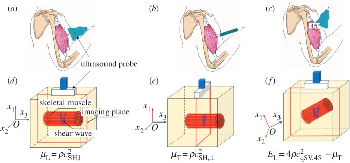 Figure 20.