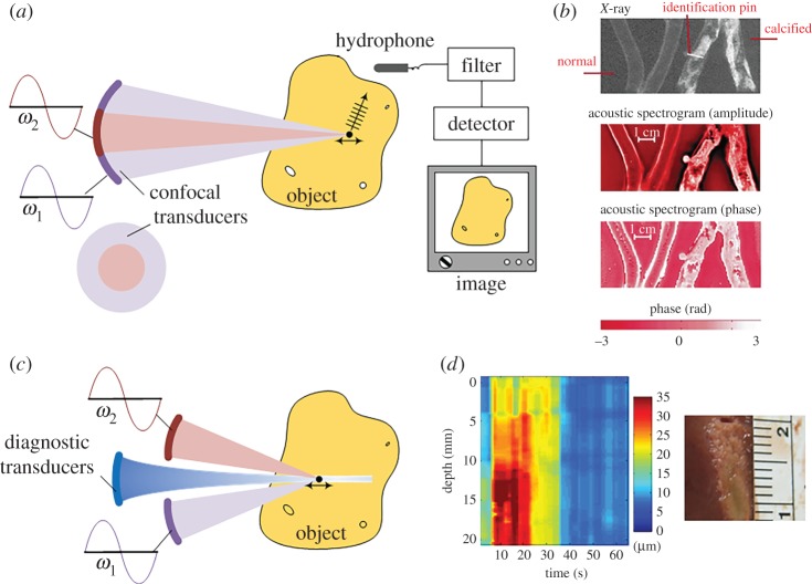 Figure 6.