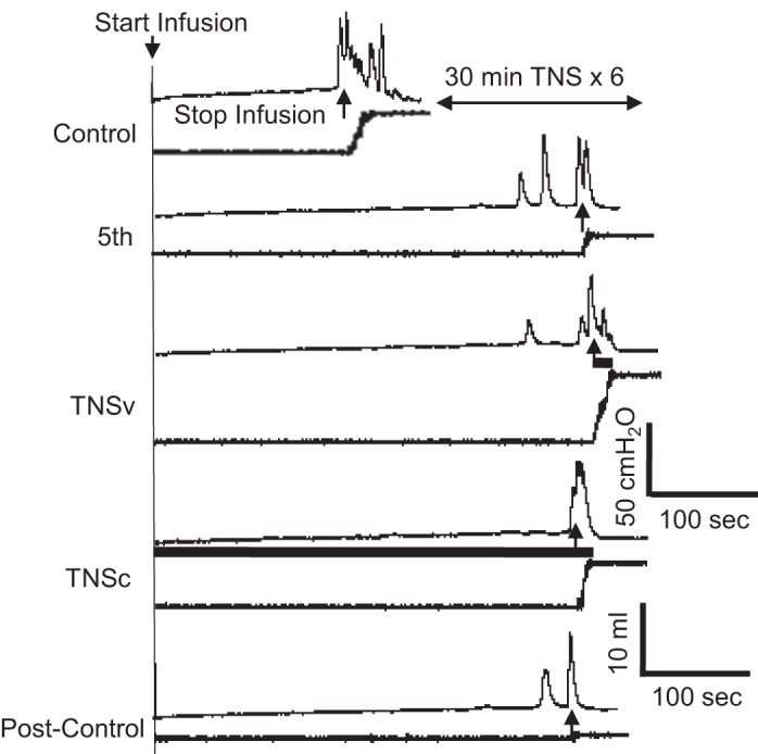 Fig. 5.