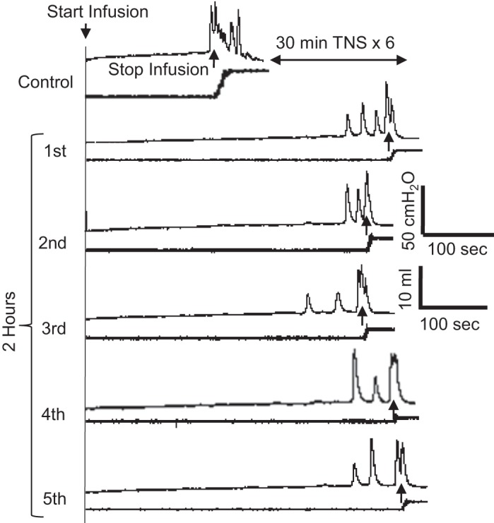 Fig. 3.