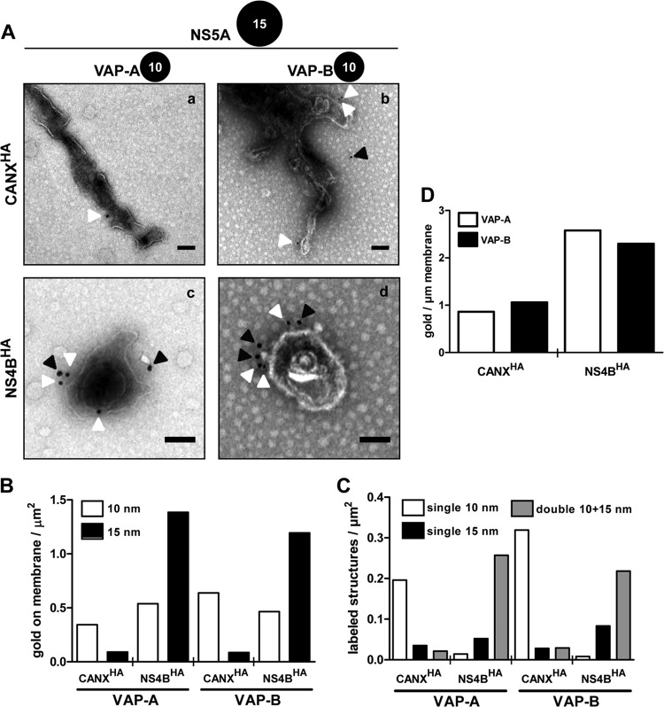 Fig 7