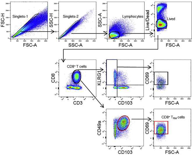 Figure 1