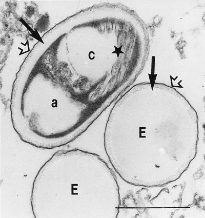 FIG. 8