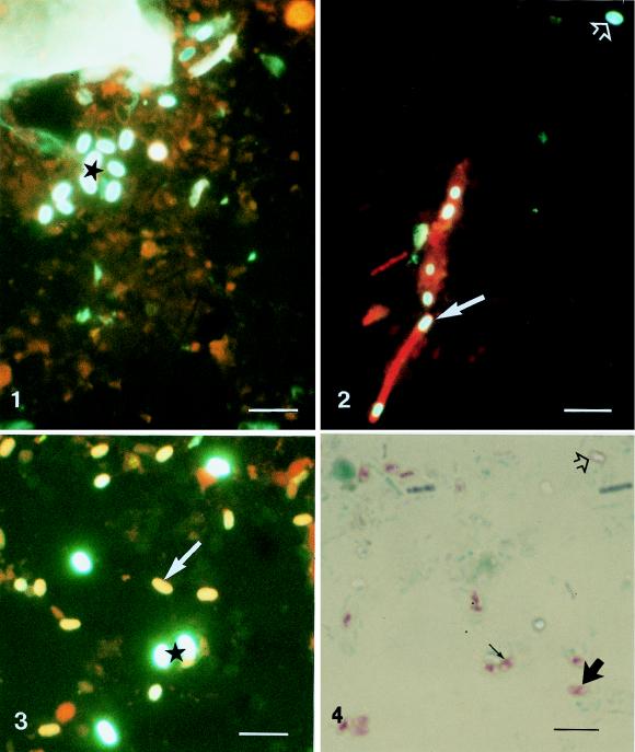 FIG. 1-4