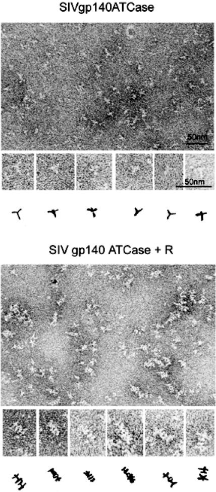 FIG. 6.