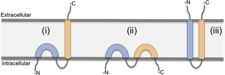 Fig. 3