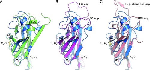 Fig. S4.