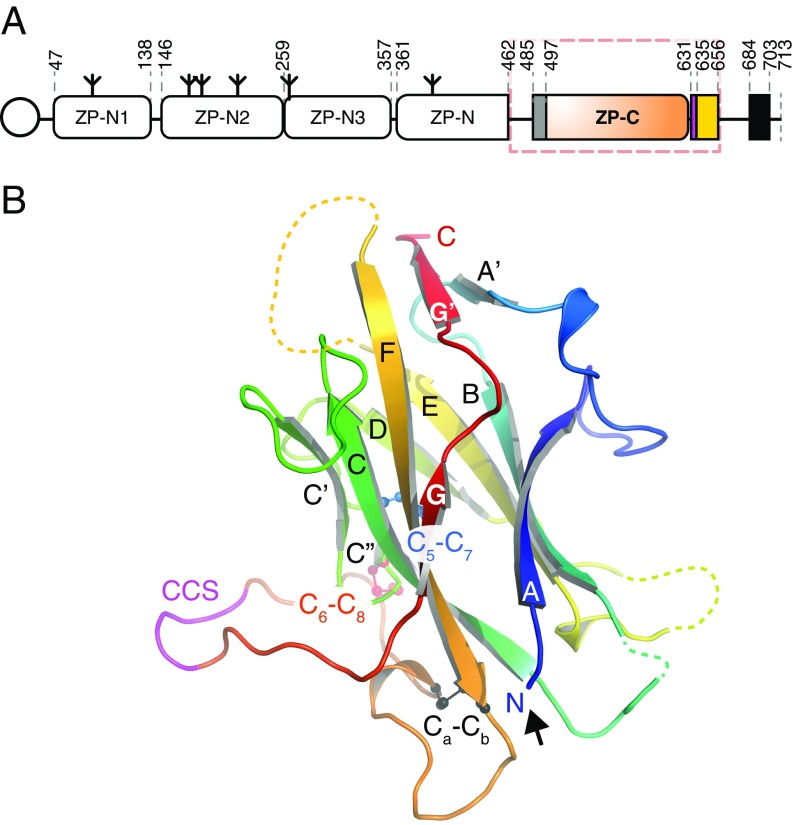 Fig. 3.