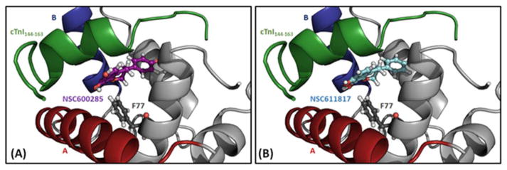 Figure 9