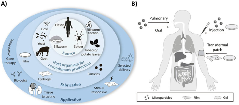 Figure 1.