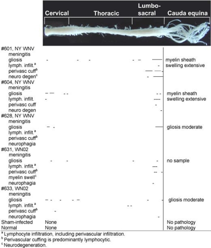 FIG. 9.