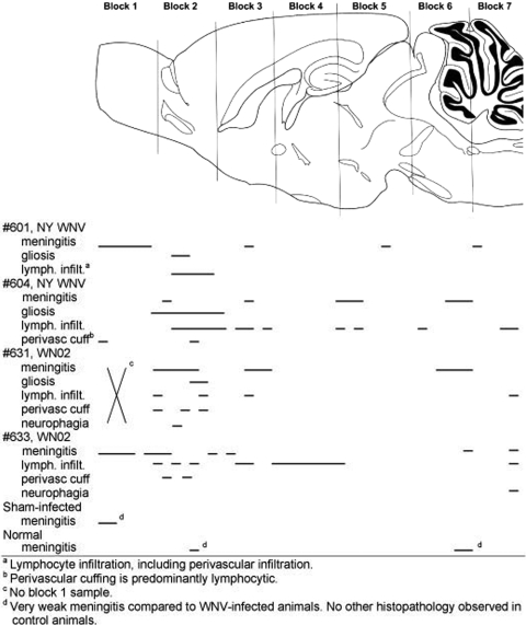 FIG. 8.