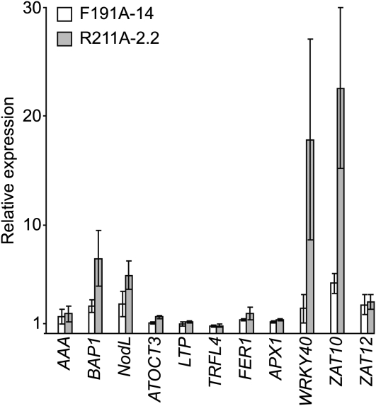 Figure 6.