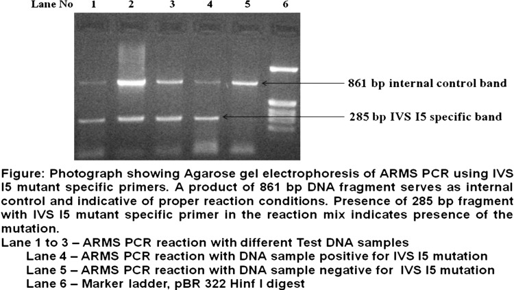 graphic file with name 12291_2012_230_Figa_HTML.jpg