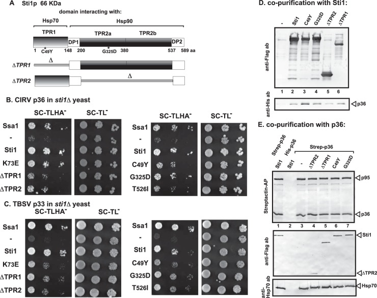 FIG 3