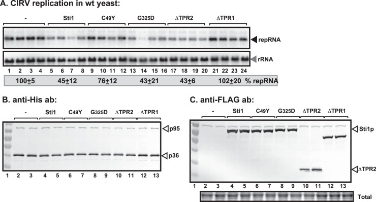 FIG 6