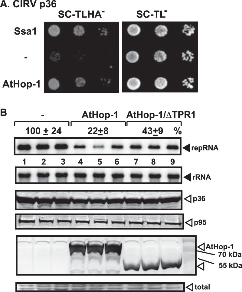 FIG 9