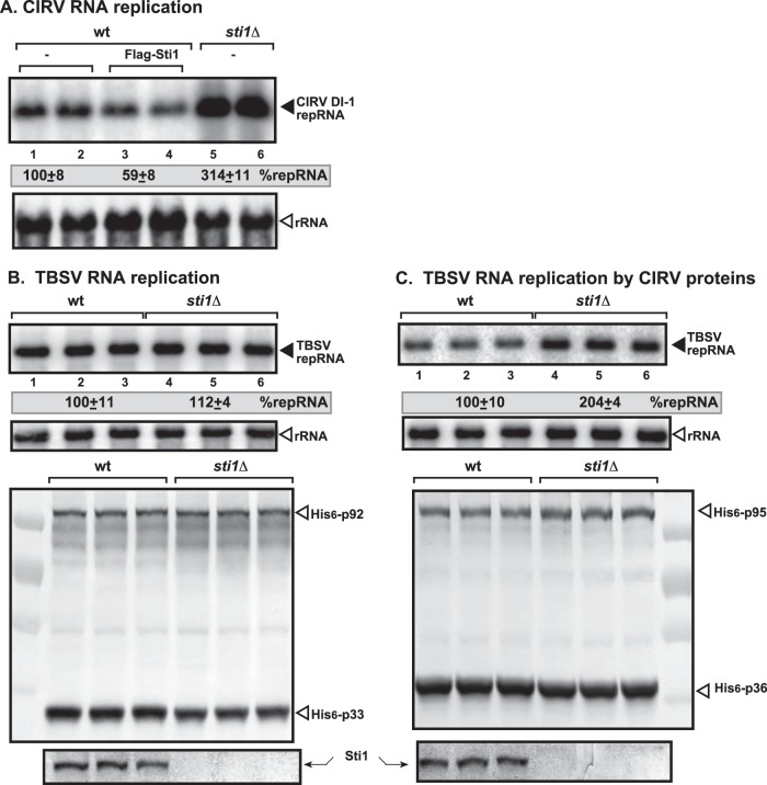 FIG 1