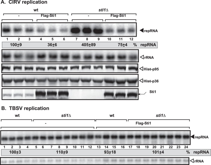 FIG 2