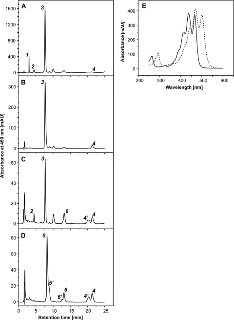 FIG. 1.