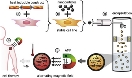 graphic file with name fx1.jpg