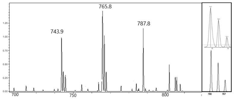 Figure 11