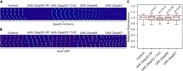 Figure 6—figure supplement 1.