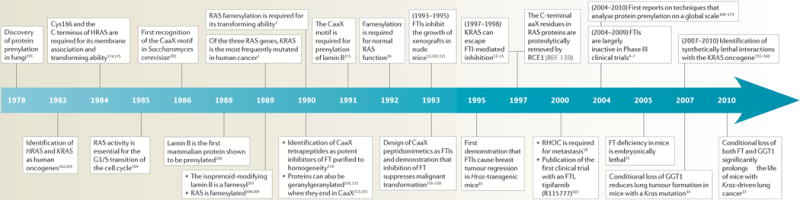 Timeline