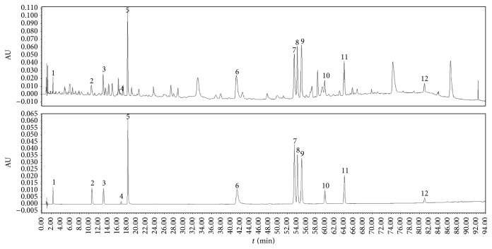 Figure 6