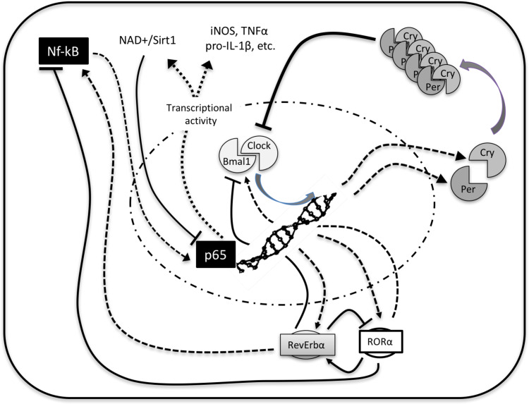 Fig. 2