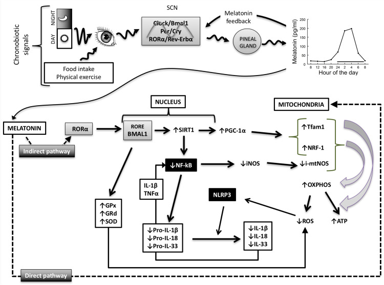 Fig. 3