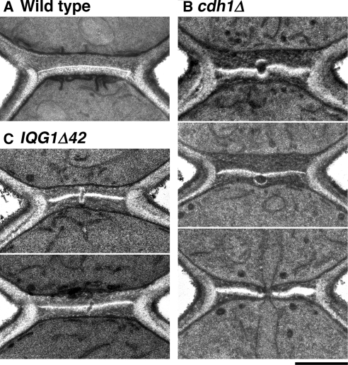 Figure 6.