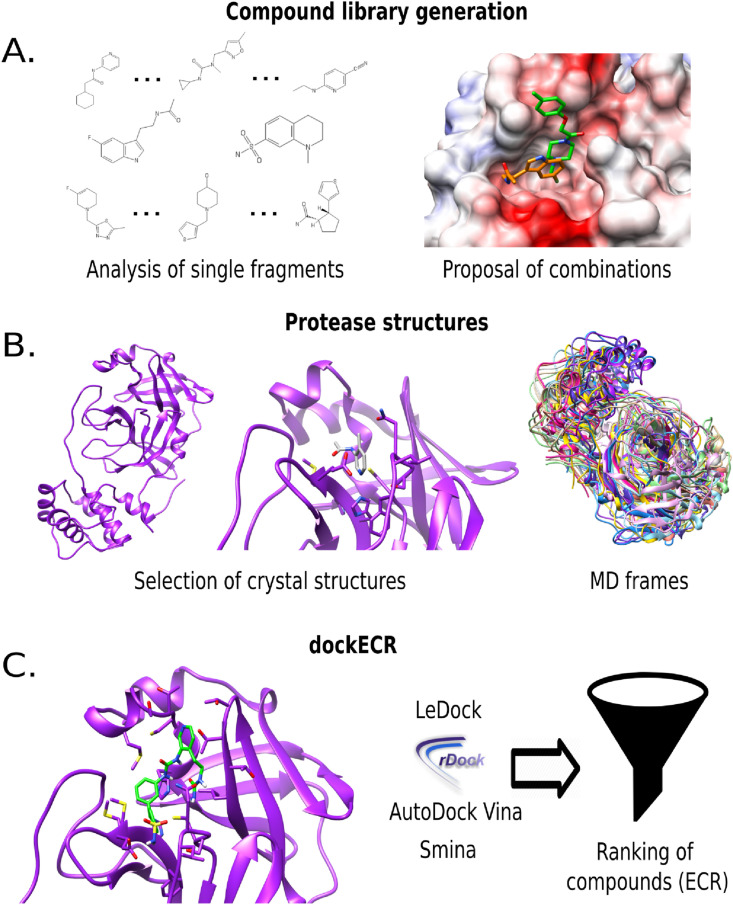 Fig. 2